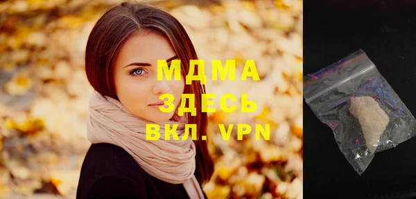 мдпв Бородино