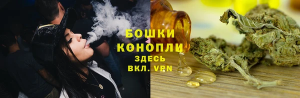 мдпв Бородино