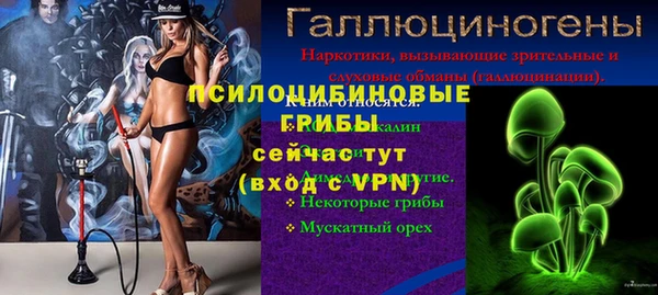 мдпв Бородино