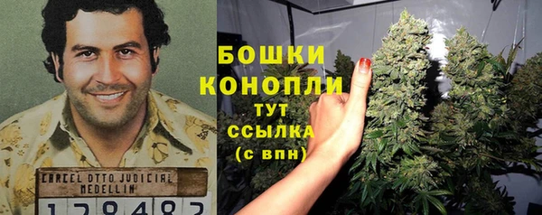 мдпв Бородино