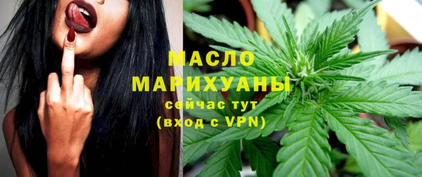 мдпв Бородино