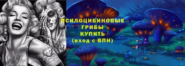 мдпв Бородино