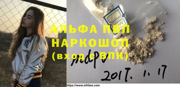 мдпв Бородино