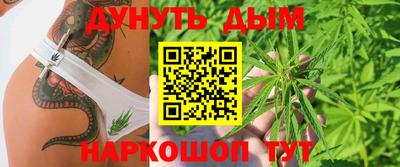 индика Гагарин