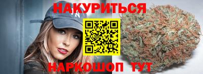 spice Гатчина