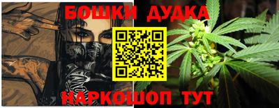 индика Гагарин